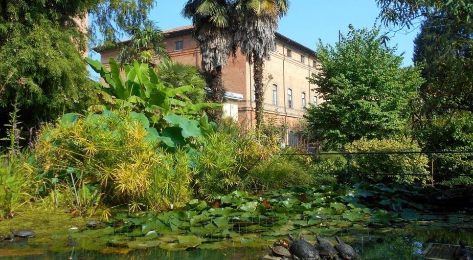 Botanical Garden of the University of Ferrara, Ferrara, Italy, Italy